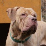 Emilio-1