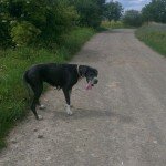 IMG-20141029-WA0012