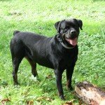 Paco-2014-09-28-4